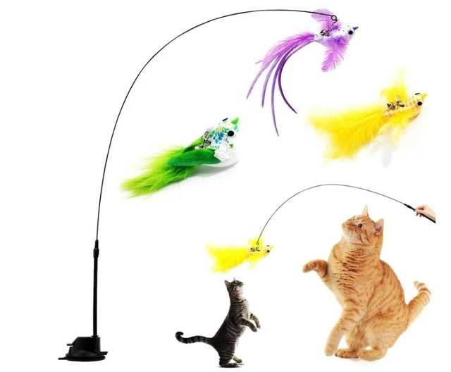 Jouet Chat Intérieur Interactif Jeux Chaton Ludique Souris Rat Canne à Pêche Fr