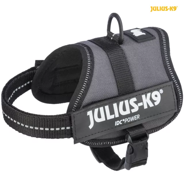 Julius-K9 Powergeschirr Nylon Geschirr Hundegeschirr gepolstert alle Farben 2