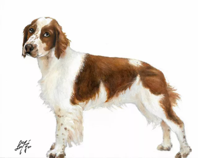 ❈ Original Oil Portrait Painting WELSH SPRINGER SPANIEL Artist Signed Dog Art