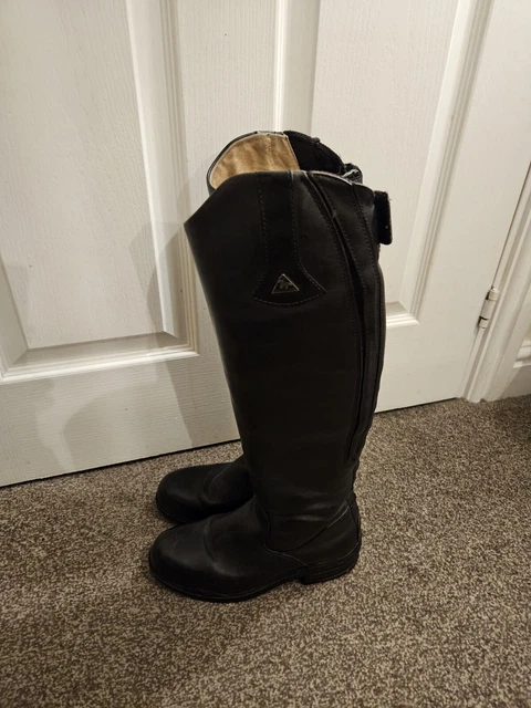 Mountain horse high rider 2 top
