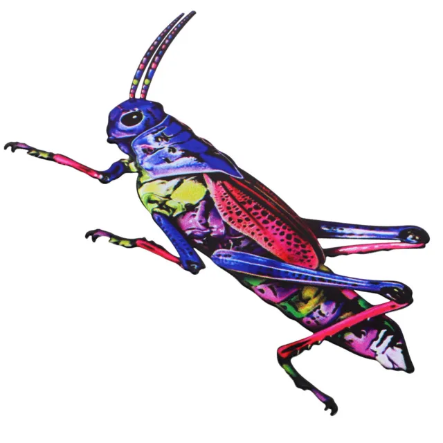 1PC lifelike grasshopper Creative Wrought Iron Insect Pendant House Decorations