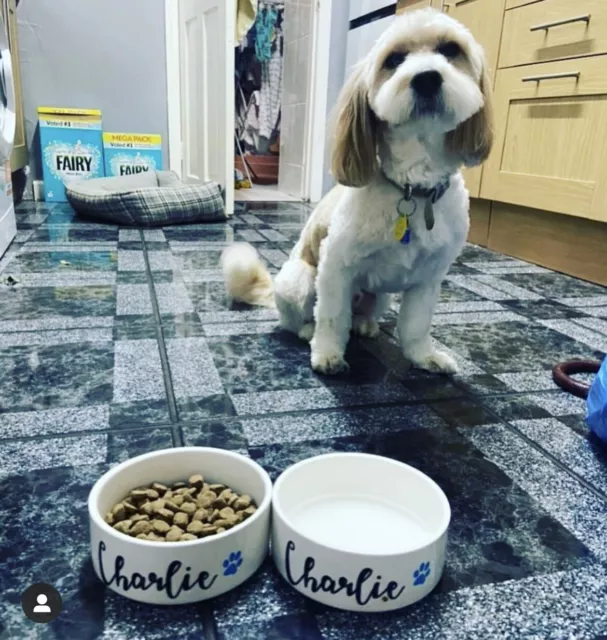 Personalised Ceramic Pet Bowl - Personalised Dog/ Cat Bowl - Feeding Water Bowl
