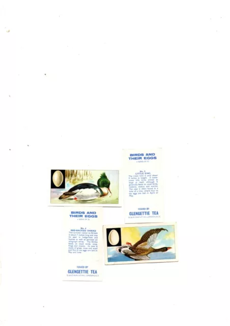 Birds And Their Eggs  Full Set 25 Cards Issued 1970  By Glengettie Tea Vg
