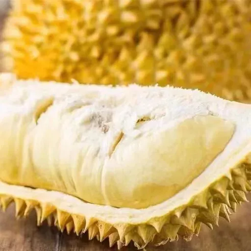 HELLOYOUNG Poudre de durian lyophilisée de qualité supérieure – Goût pur et fort