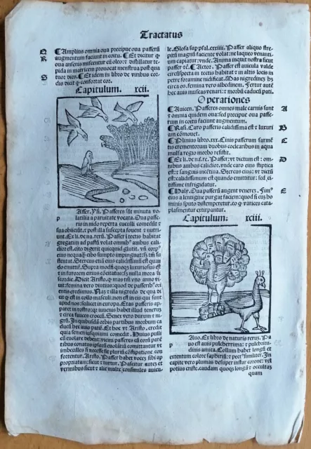 Original Post Inkunabel-Blatt Hortus Sanitatis Vögel Pfau Venedig 1511