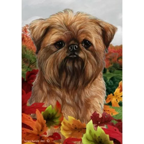 Fall Garden Flag (TB) - Brussels Griffon 131281