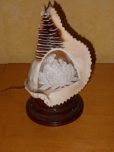 Lampada ta Tavolo con Conchiglia e Cammeo