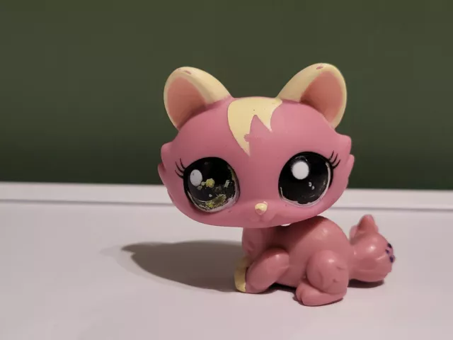 Lps #1900 Littlest Petshop Original Chat Cat Authentique Sphinx Hasbro