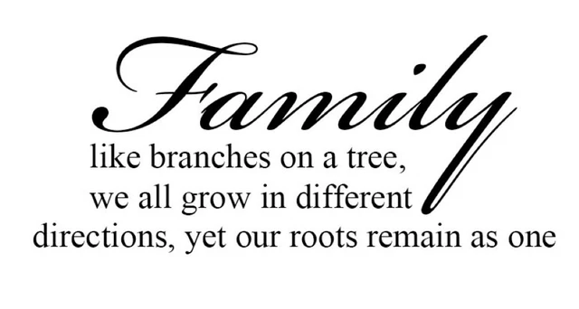 FAMILY Like Branches On a Tree We All Grow In Different Directions Yet Our Roots
