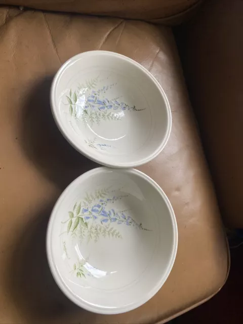 bin 2 X Biltons "FOXGLOVE" Blue Pattern Bowls 6.5" Diameter 2” Deep New