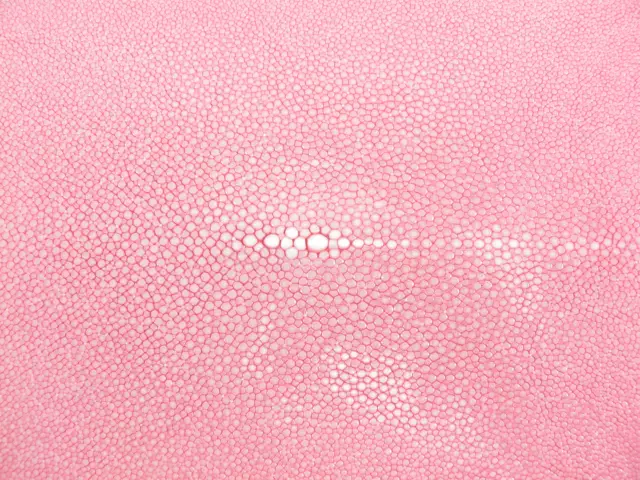 PELGIO Genuine Polished Stingray Skin Leather Hide Pelt Pink Grade A 2