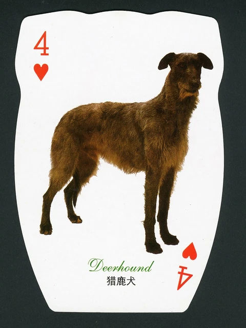 Deerhound Single Large Novelty Dog Collectable Playing Card