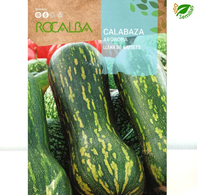 Calabaza Llena de Napoles ( 3 gr / 20 semillas aprox ) seeds Cucurbita moschata