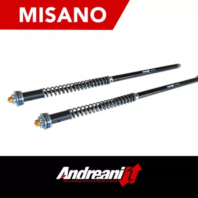 Andreani Kit Cartuccia Forcella Per Misano Ducati Monster 1100 Evo  2011-13