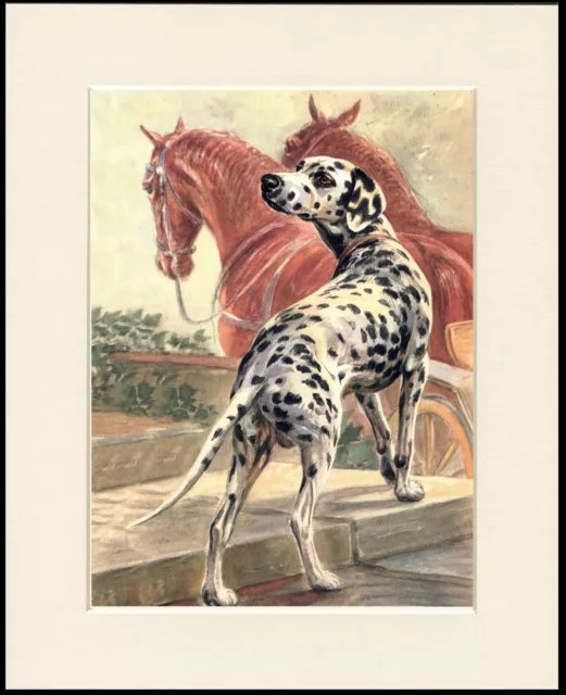 Dalmatian And Horses Lovely Dog Print Mounted Ready To Frame