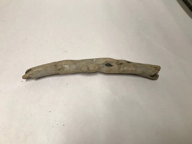1 piece driftwood freshwater terrarium aquarium crafts 13"