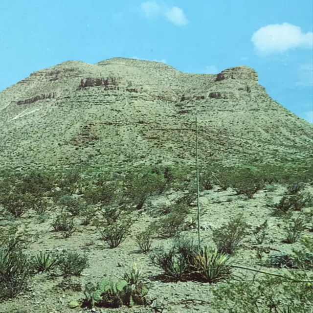 Van Horn Texas Postcard Vintage Landscape