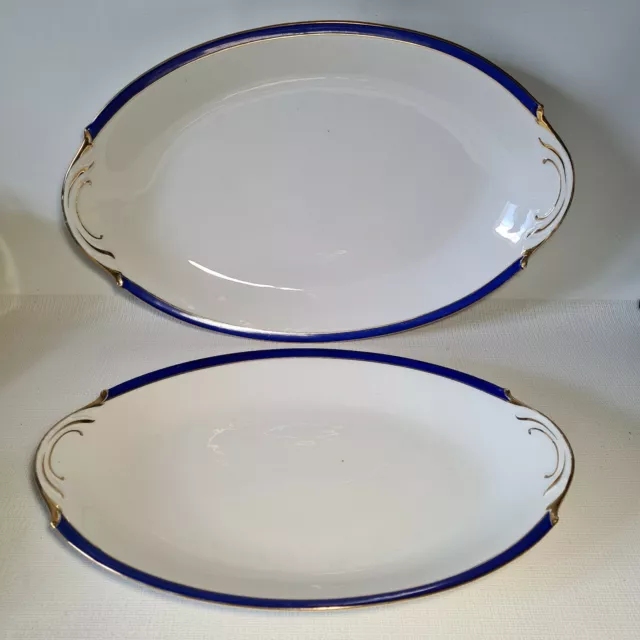 🌹 2 plats ovales en porcelaine de Limoges liseré bleu