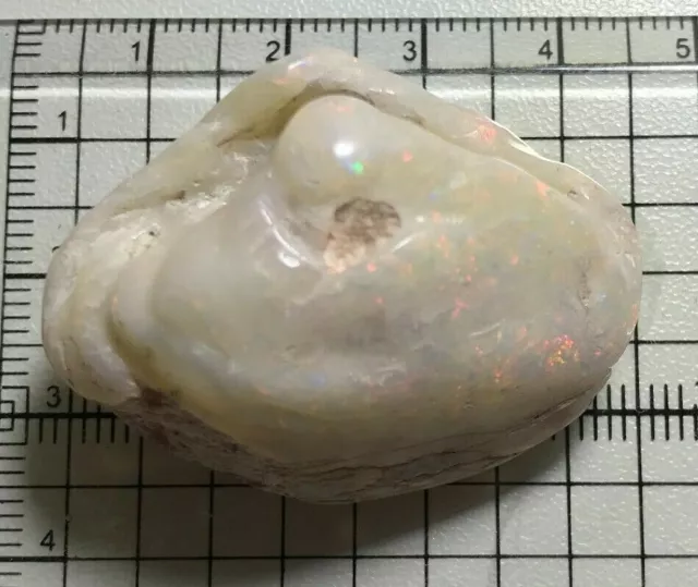 Australian Fossil shell Opal from Coober Pedy gem Freeform jewllry wholesale