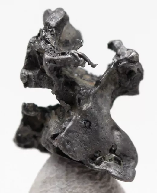 Raro Ammirare Ferro Meteorite Esemplare Pallasite Skeleton Olivina Meteor Kansas