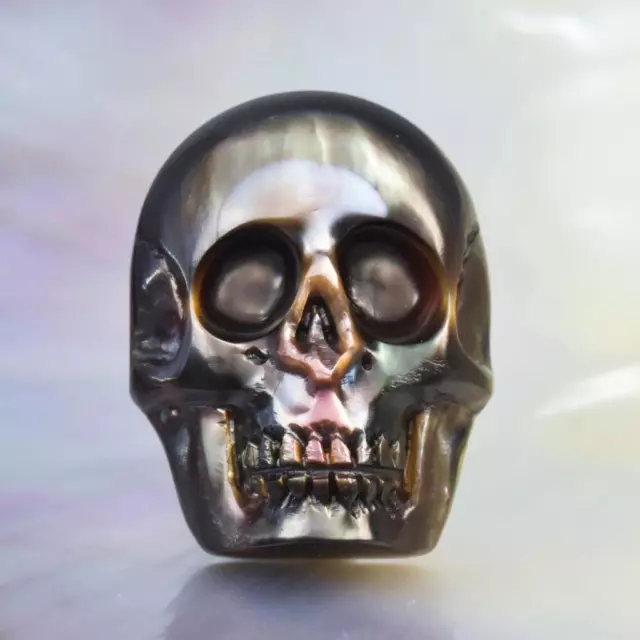 Skull Design Cabochon Carved Black Mother-of-Pearl & Paua Abalone Shell 3.38 g