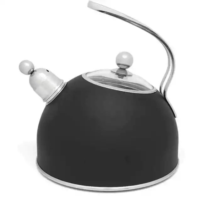 Chaudière de Flûtes Noir 2,5 L Acier Inoxydable Bouilloire Cuisinière Pipes Thé