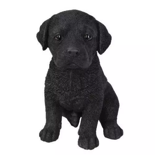 NEW Black Labrador Puppy Pet Pals Vivid Arts