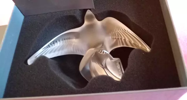 Lalique Swallow In Flight Heavy Beautiful Piece New Boxed Gift Of Love.