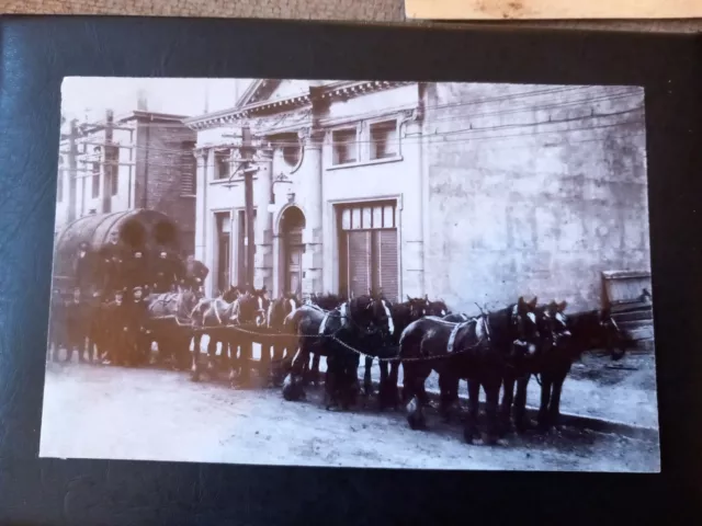 Vintage Postcard  Unknown  New Zealand