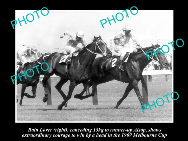 Old Large Horse Racing Photo Of Rain Lover Winning The 1969 Melbourne Cup