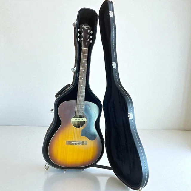 ギター Recording King Ros 9TS LR Baggs M1active ROS-9-TS — Recording King