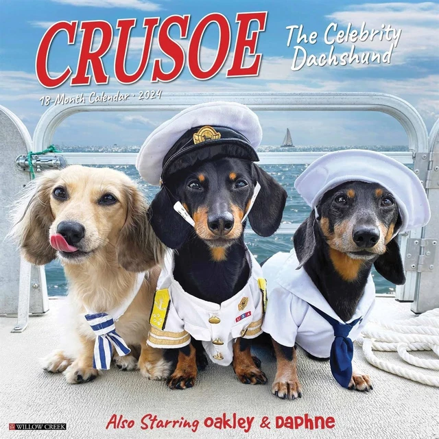 CRUSOE THE CELEBRITY Dachshund Monthly 2024 Wall Calendar (12" X 12