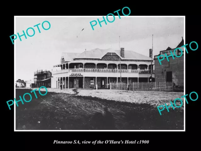 OLD LARGE HISTORIC PHOTO OF PINNAROO SA VIEW OF O'HARAS HOTEL c1900