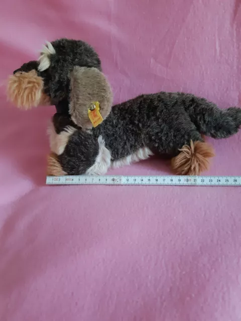 Steiff Plüschtier Hund Dackel Raudi 4151/25, 25 cm, unbespielt, mit Knopf im Ohr