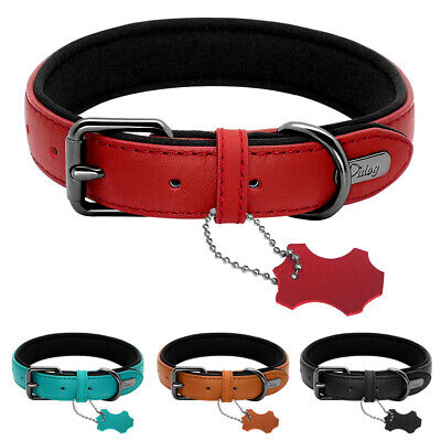 Soft Plain Leather Dog Collar with Heavy Duty Buckle for Small Medium Dogs S M L