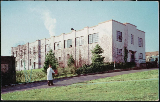 PEARL RIVER NY Lederle Laboratories American Cyanamid Company Vtg Lab Postcard