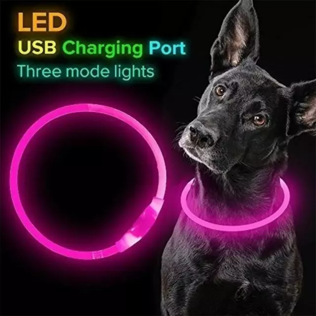 USB Hunde Leuchthalsband Hundehalsband LED HO