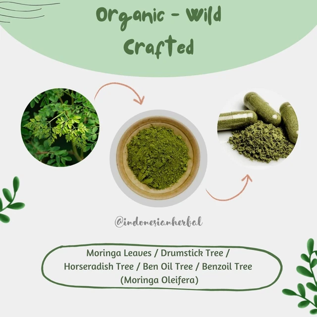 Powder & Capsules Moringa Drumstick Tree Moringa Oleifera Organic WildCrafted