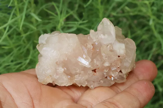 133 G Rose Quartz Himalaya Cristal Naturel Brute Thérapeutique Minéraux Spécimen