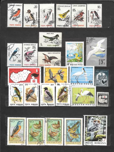 UCCELLI, OISEAUX, BIRDS  USATI  lot lotto