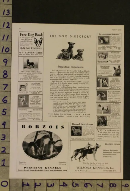 1930  Dog Canine Irish Terrier Puppy Breeder Photo Ad Ru21