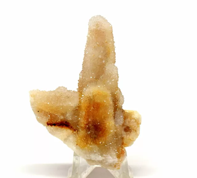 2.6 " Golden Kaktus Quarz Cluster Funkelndes Edelstein Kristall Mineral - Africa