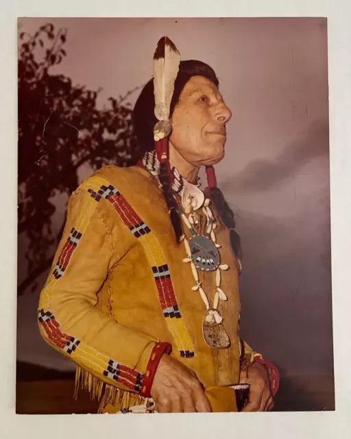 VTG ORIGINAL IRON EYES CODY PHOTOGRAPHIC PRINT OVERSIZED 16"x20" COMPELLING