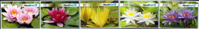 Deutsche Privatpost - Nordbrief Schwerin - Seerosen 2019, postfrisch