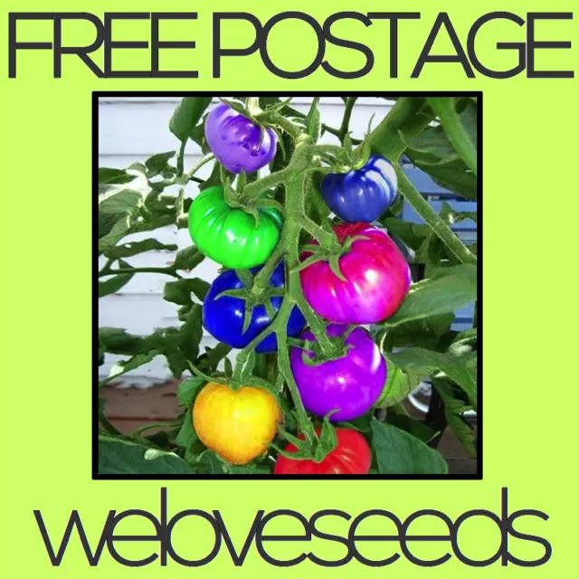 LOCAL AUSSIE STOCK - Rainbow Tomato, Vegetable Fruit Seeds ~20x FREE SHIPPING