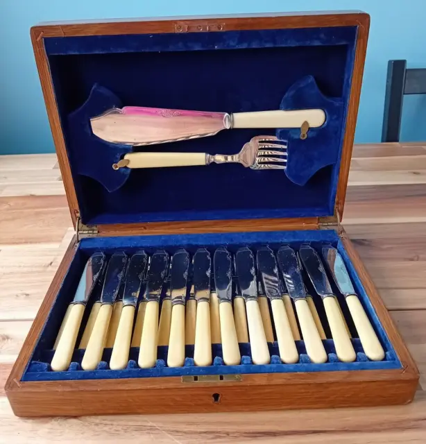 Vintage Silver Plated Fish Knives & Forks (12) in Oak Cutlery Box with Servers