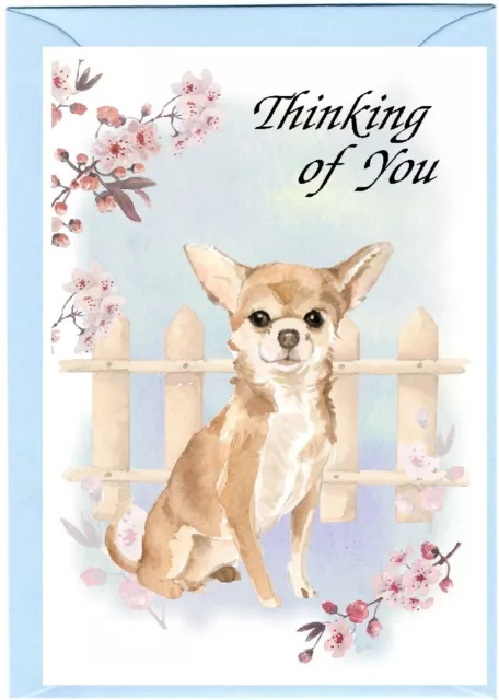 Chihuahua Smooth Dog (4" x 6") Thinking of You Card (blank inside) by Starprint