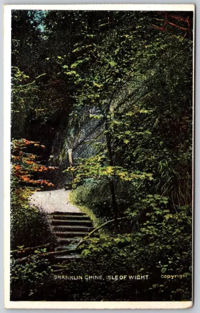 Postcard UK England Isle of Wight Shanklin Chine