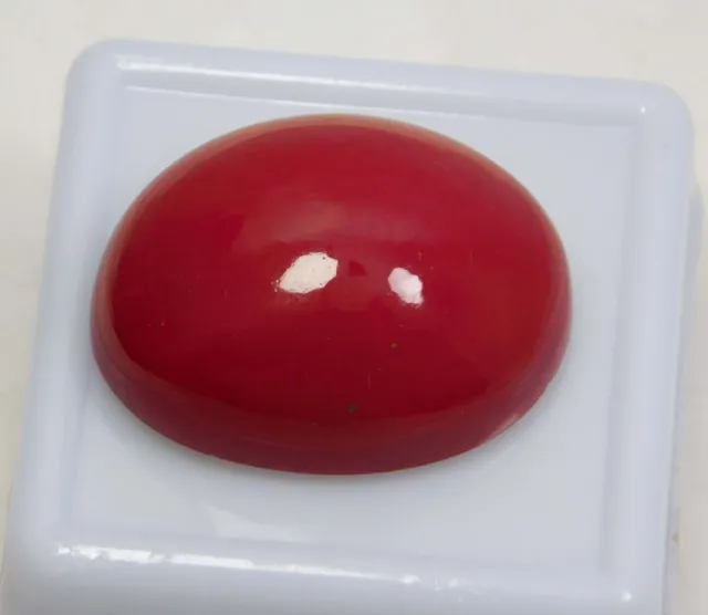 Pietra preziosa naturale a taglio ovale cabochon in corallo rosso italiano...