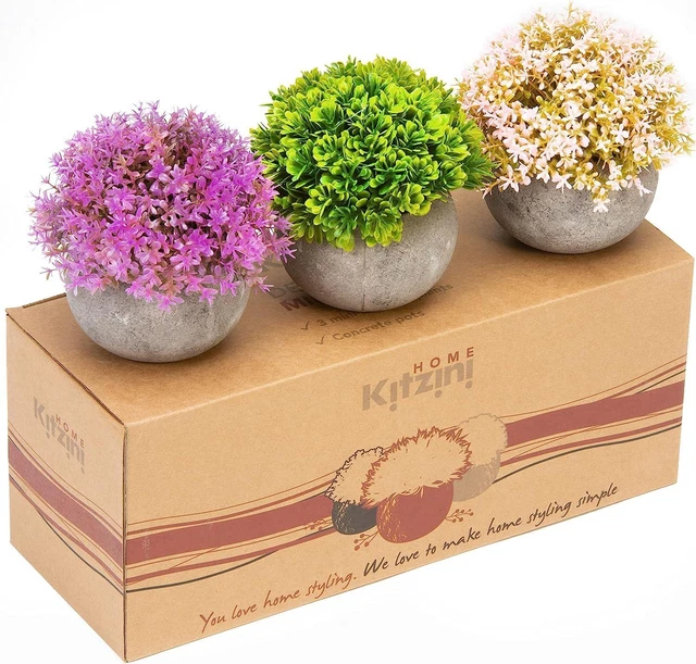 Kitzini sale